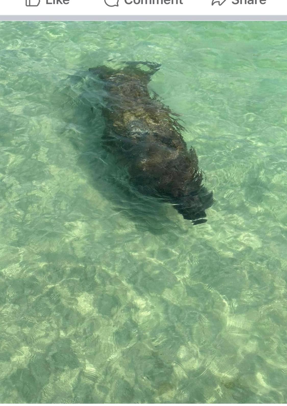Vera'S Vacation برادنتون المظهر الخارجي الصورة